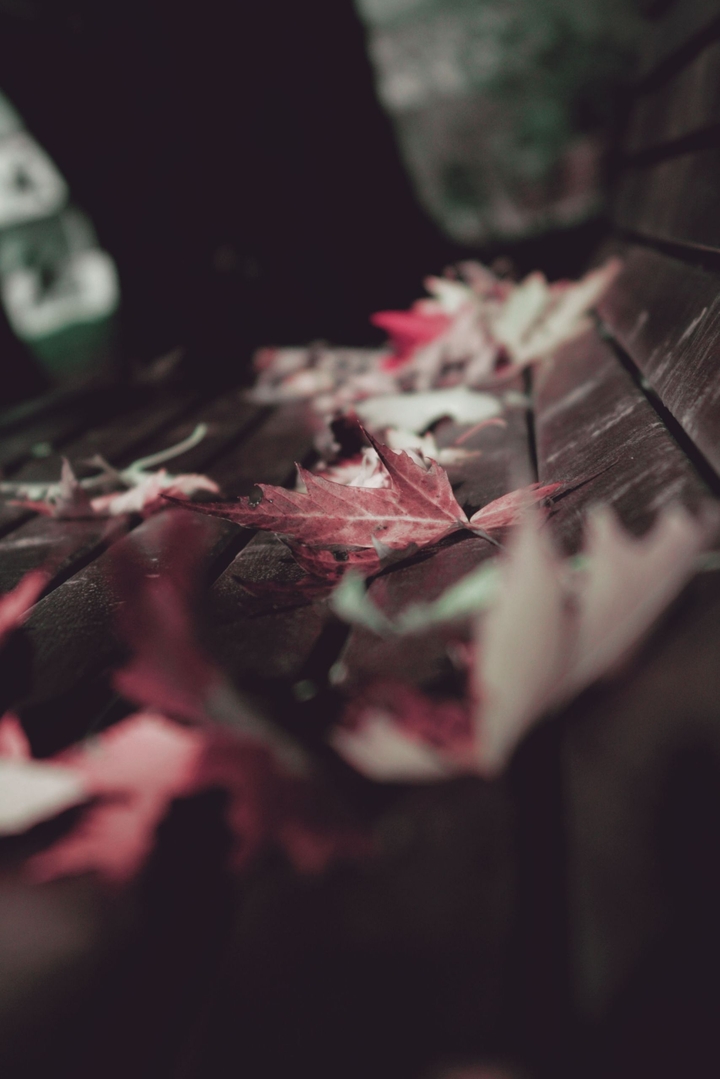 Autunno