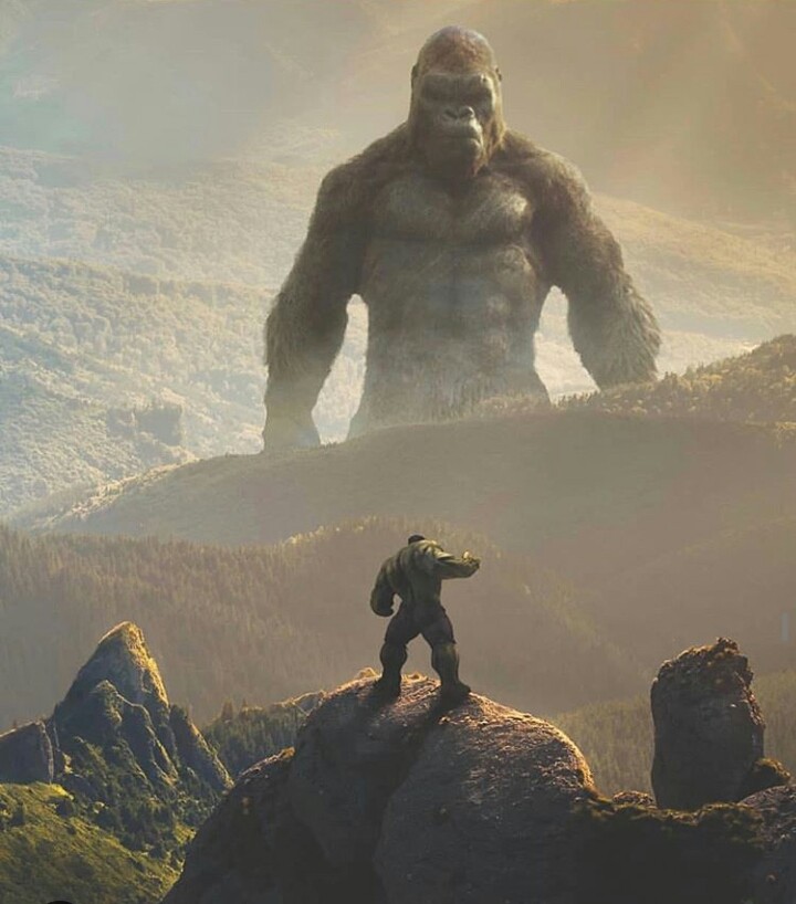 fight