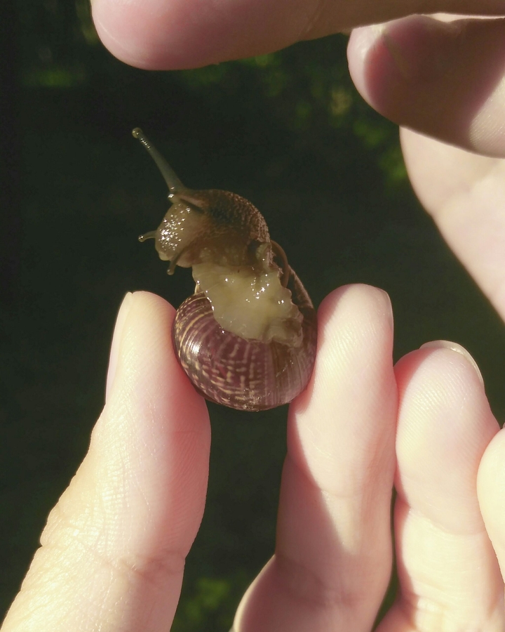 my new friend