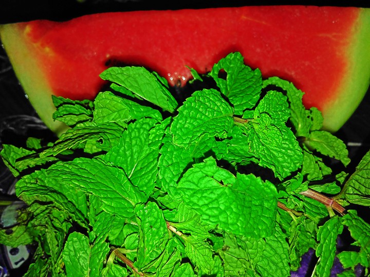 mint & watermelon