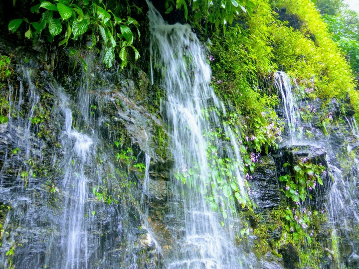 Monsoon cascade