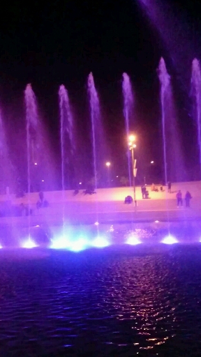 SUMMER NIGHTS