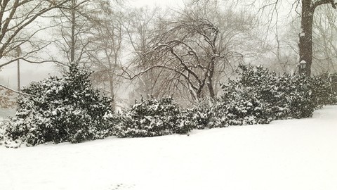 NYC Winter