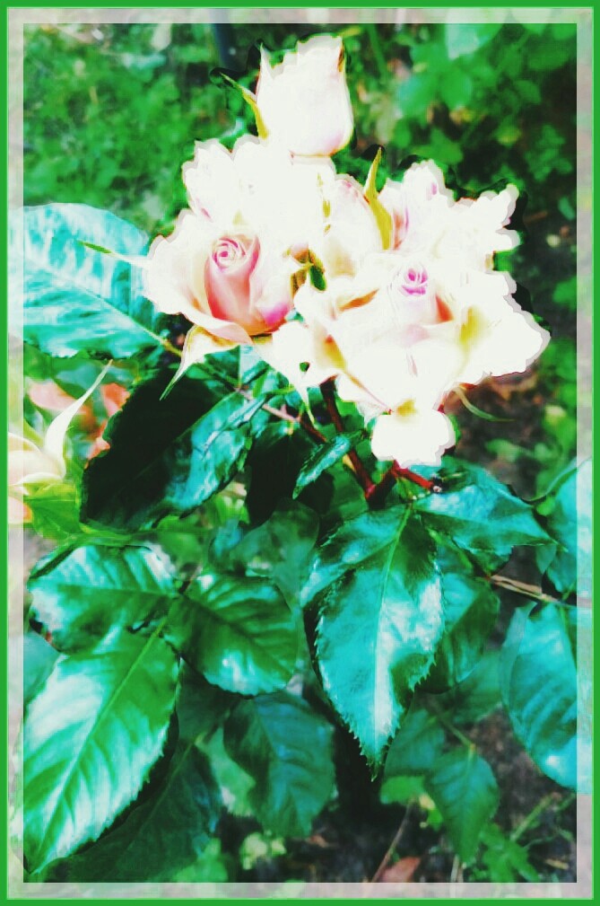 Summer