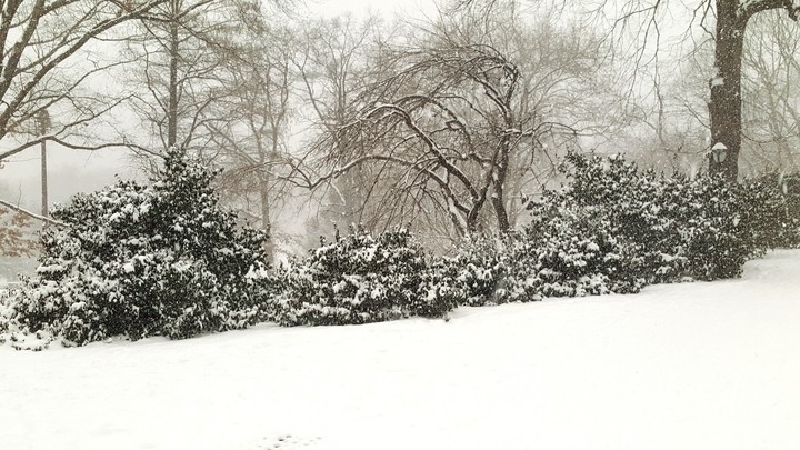 NYC Winter