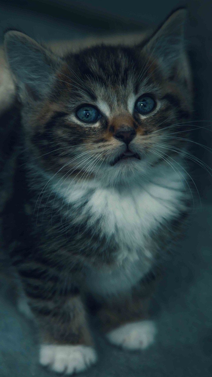 :)