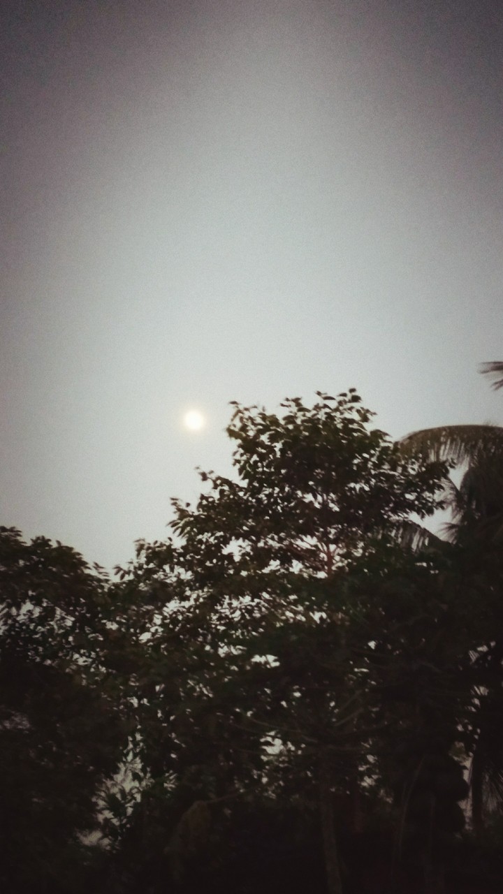 the moon