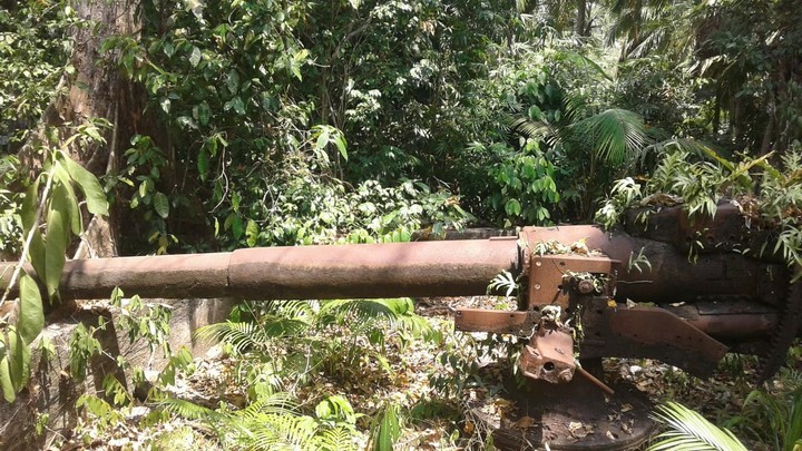 cannon found