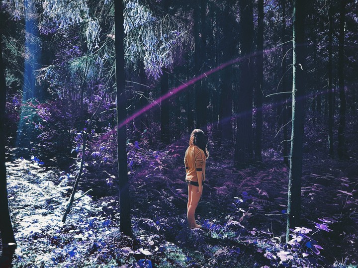 Somewhere in the forest