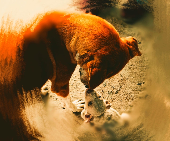 mother love