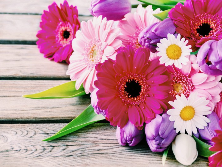 flowers