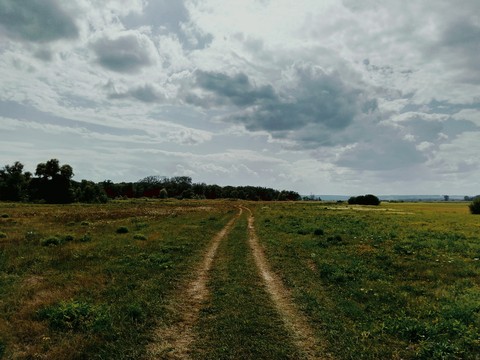The field road