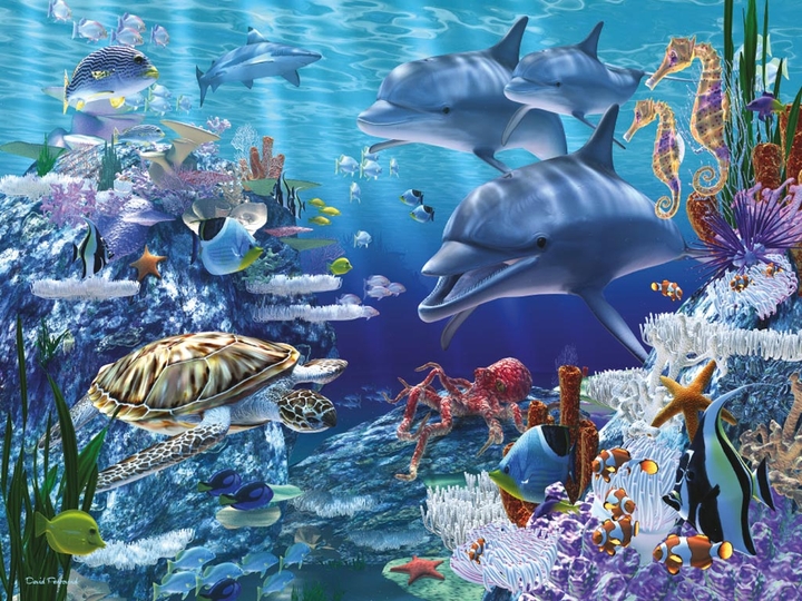 plenty of sea creatures