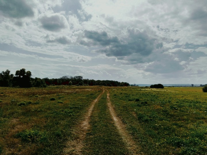 The field road