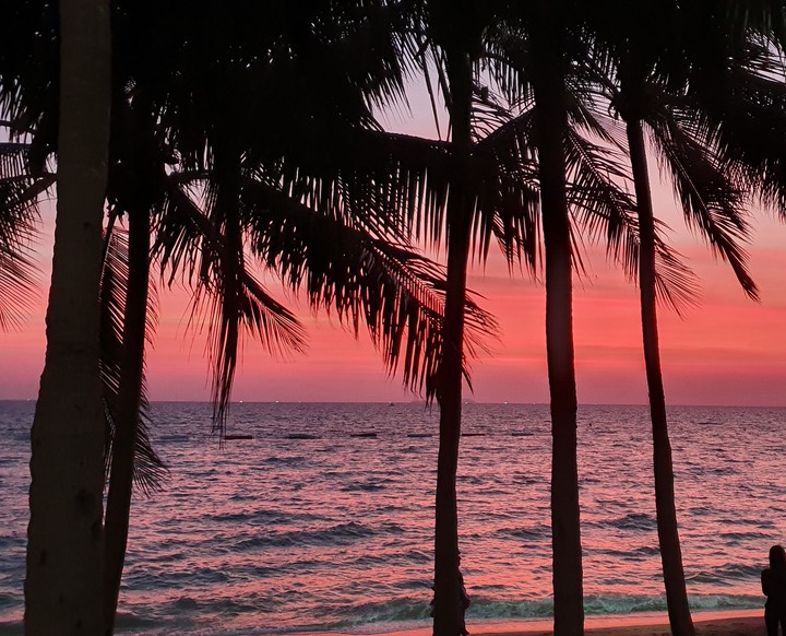 sunset