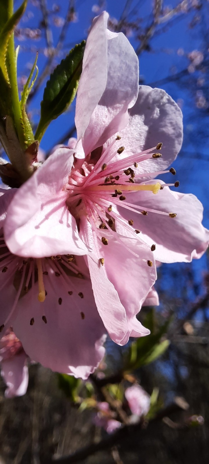 Frühling