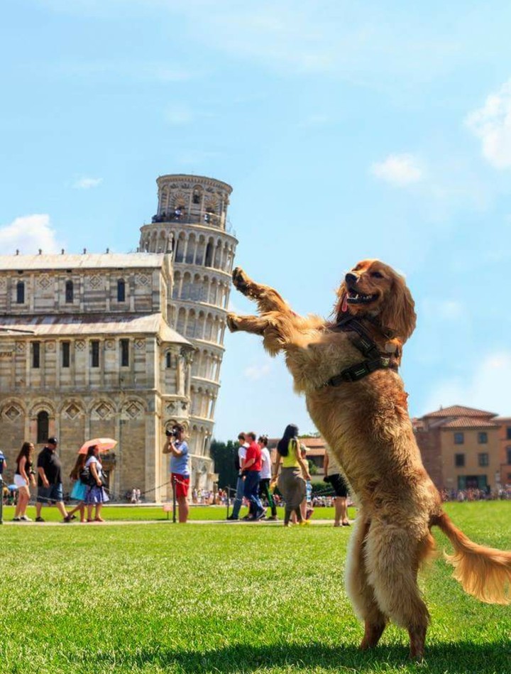 torre de pisa