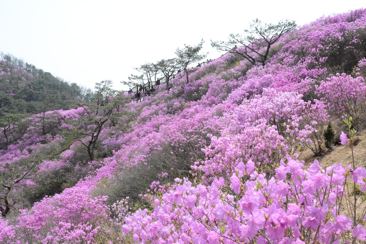 풍경이미지