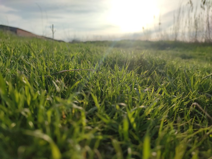 spring