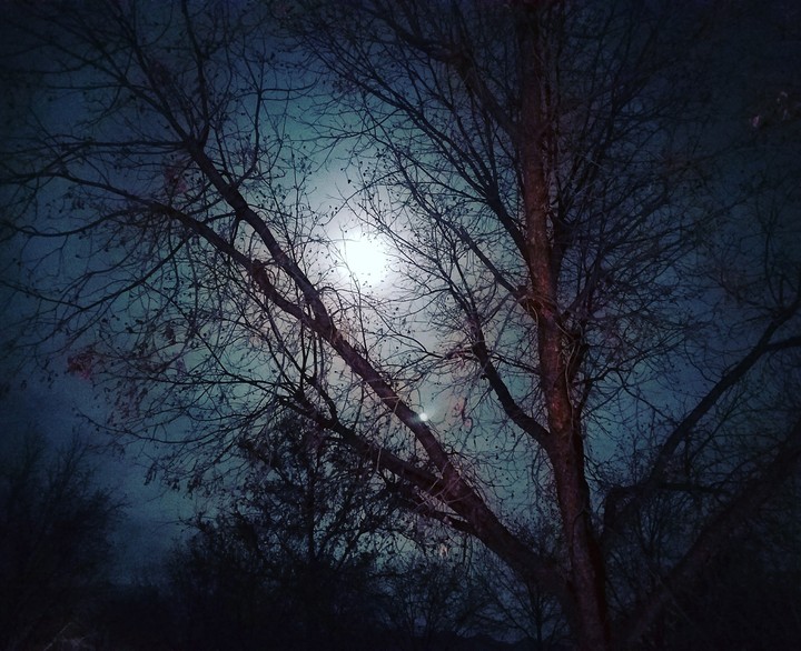 lonely hazey night