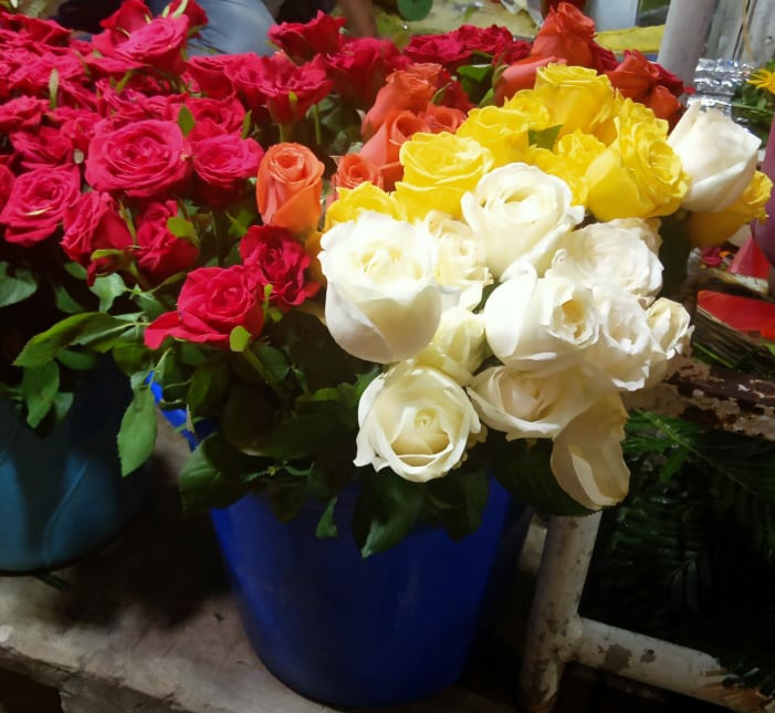 Roses