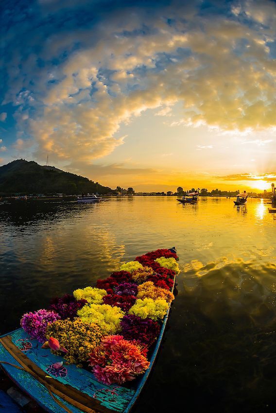 Kashmir , India