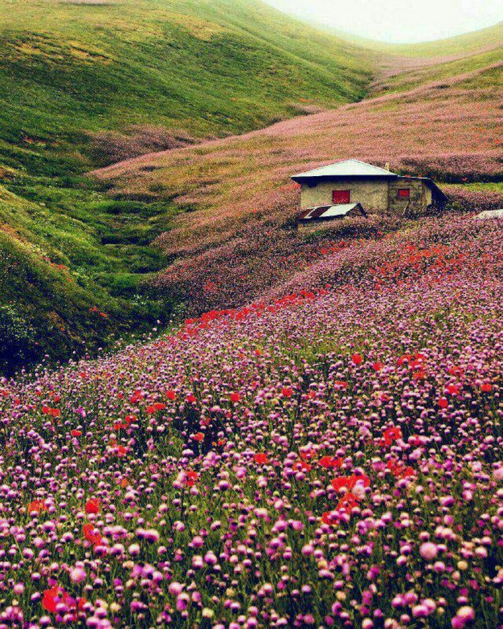 nature