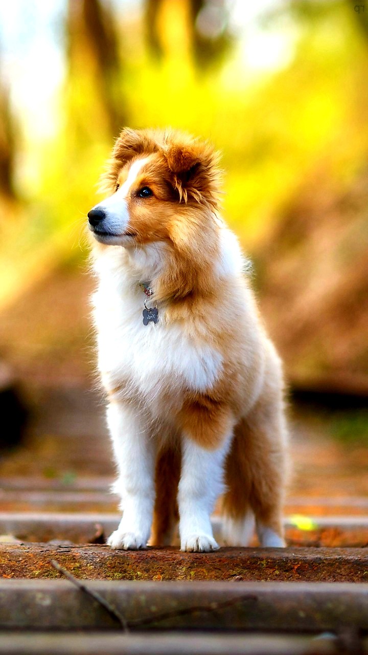 ^_^ @