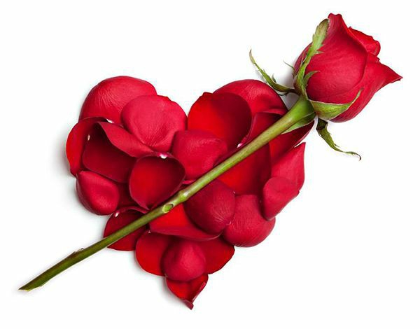 Roses are special