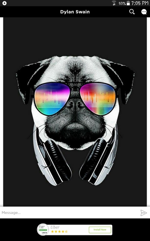 dog