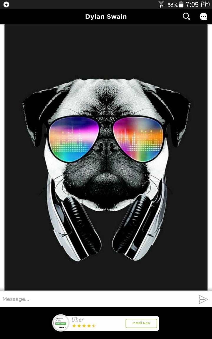 dog