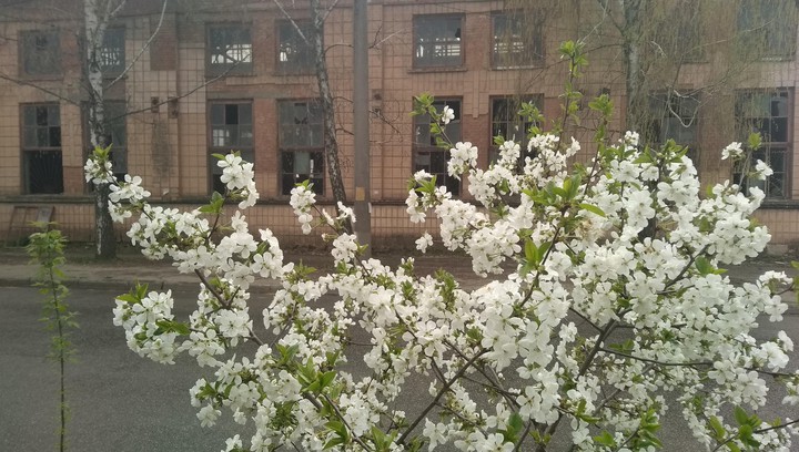 жизнь