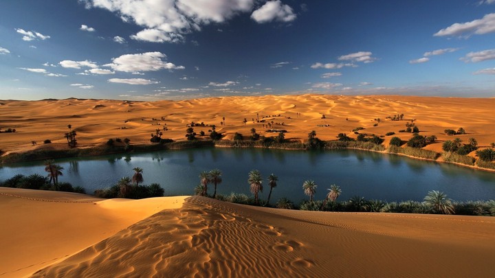 Oasis