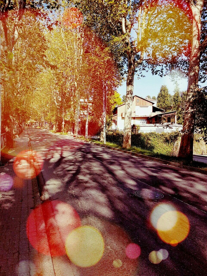 an autumn day