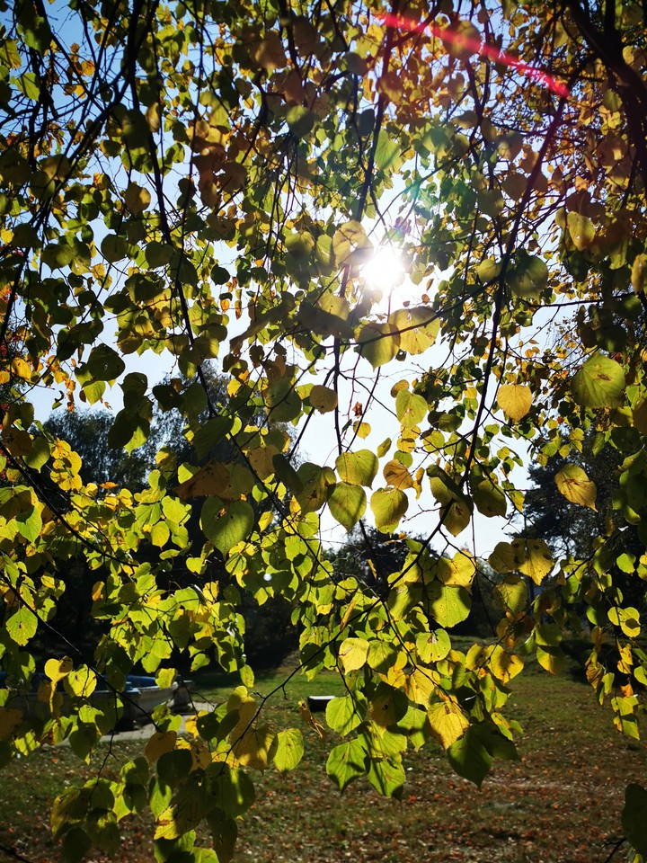 Autumn