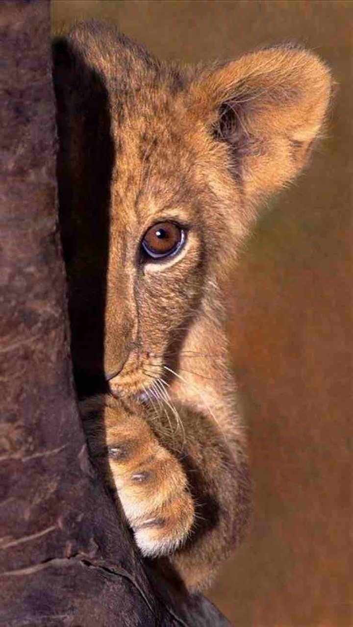 cute