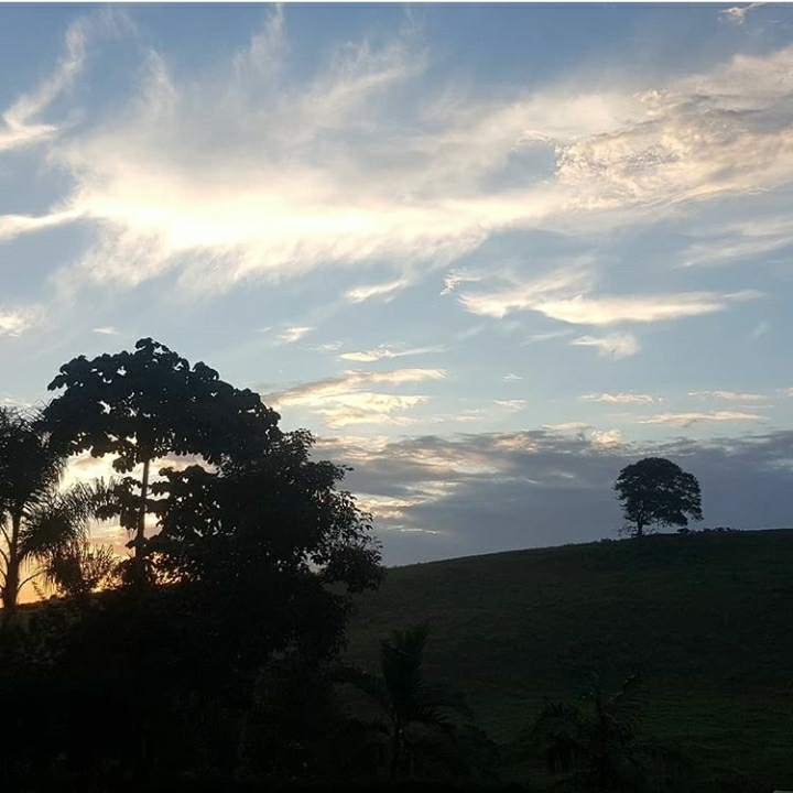 Natureza