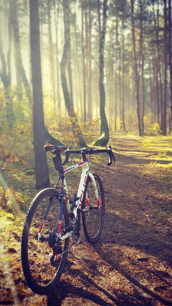 cycling in morning