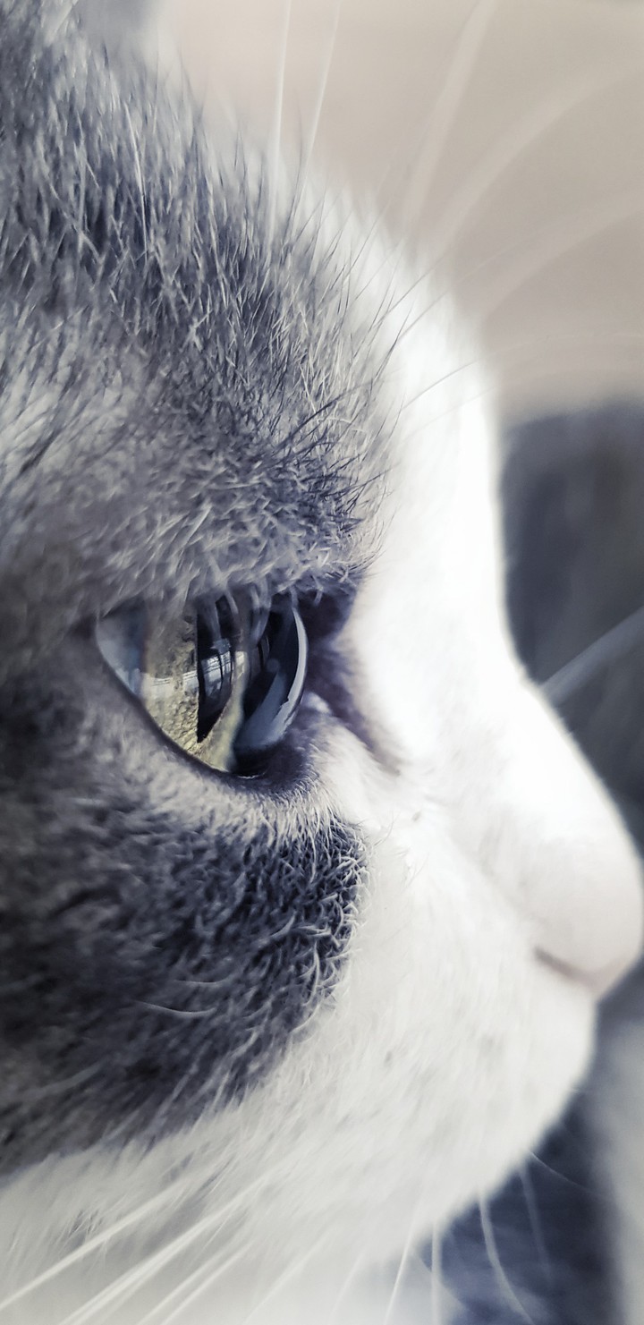 An eye
