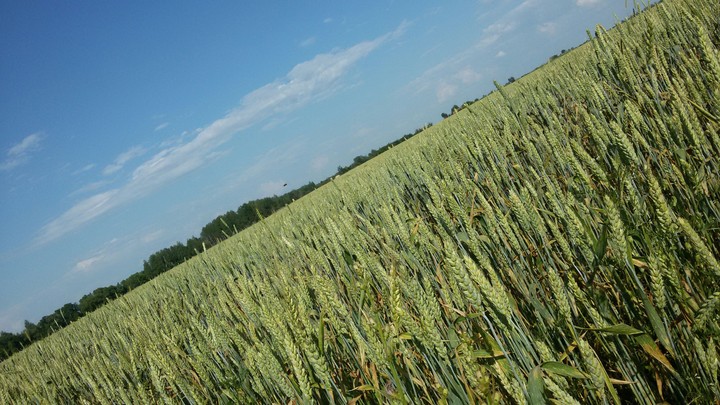 sky and ground