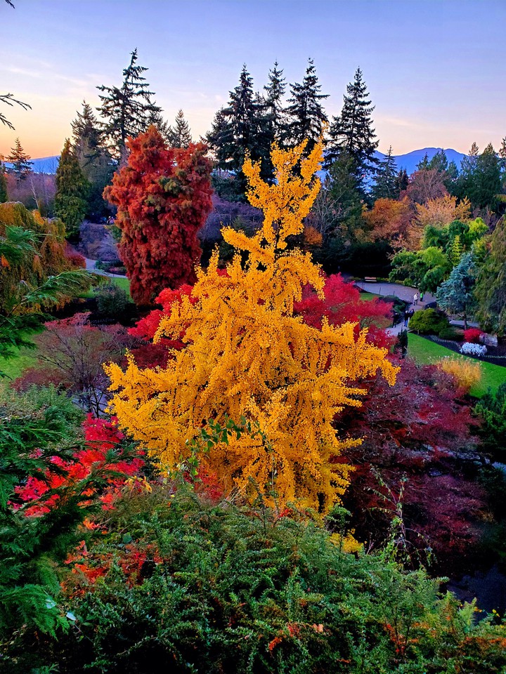 fall colors