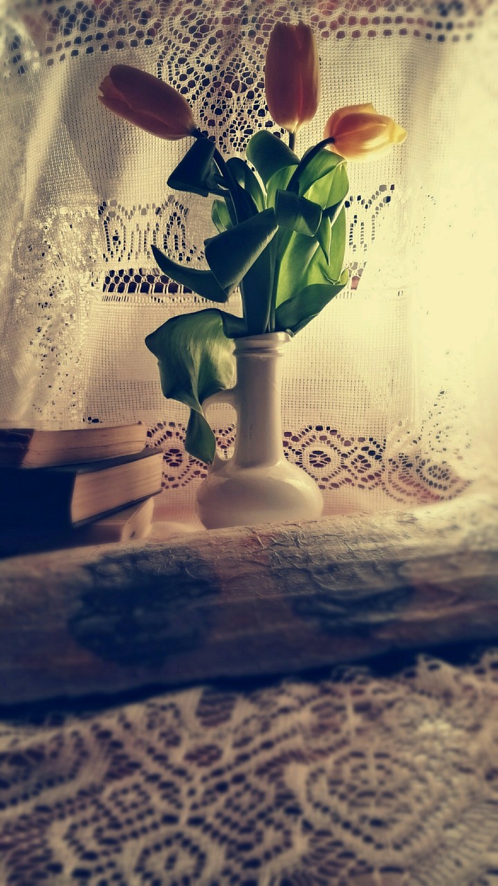 Tulip