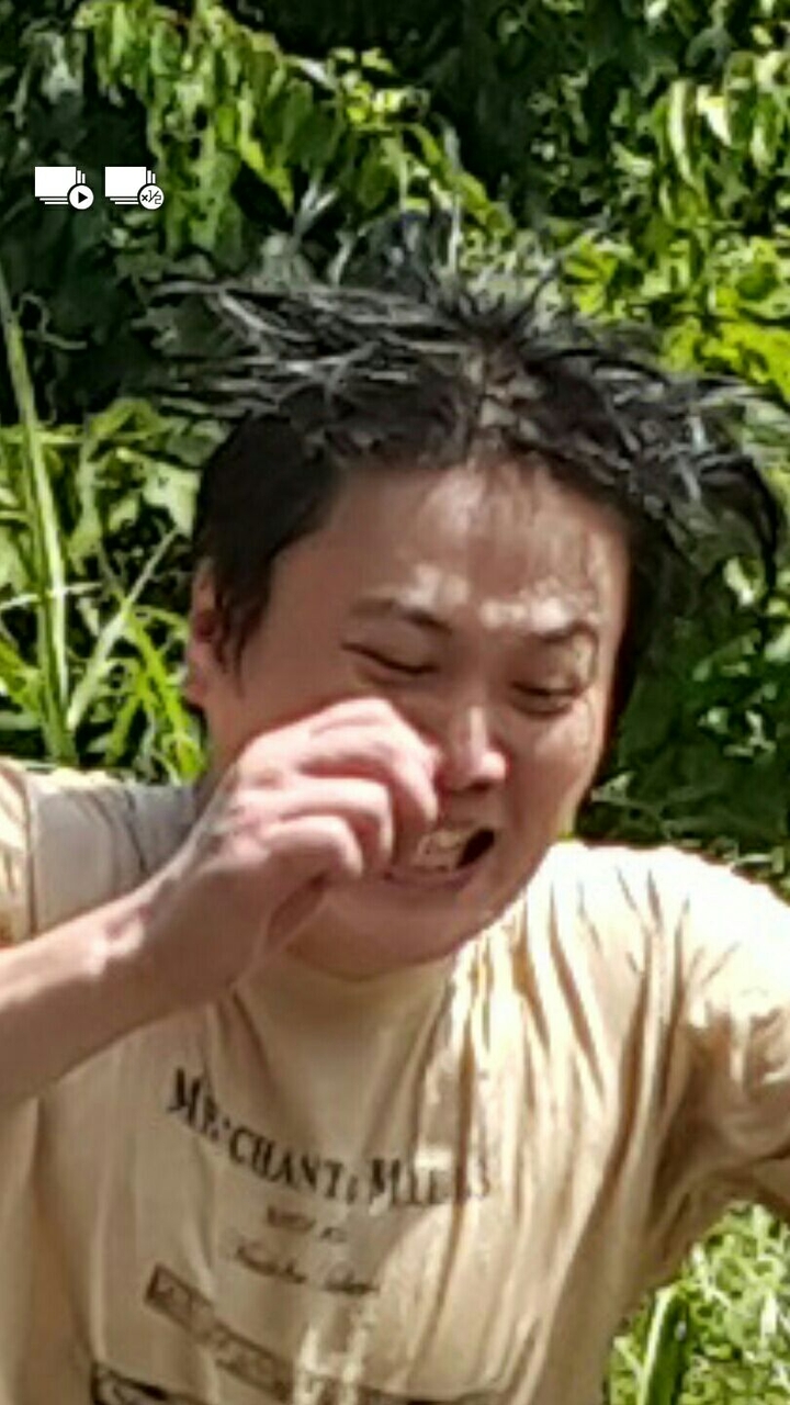한국 정봉이