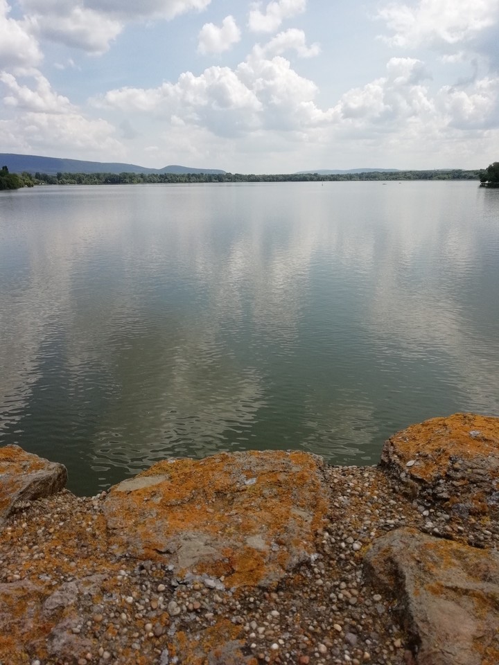 fallout