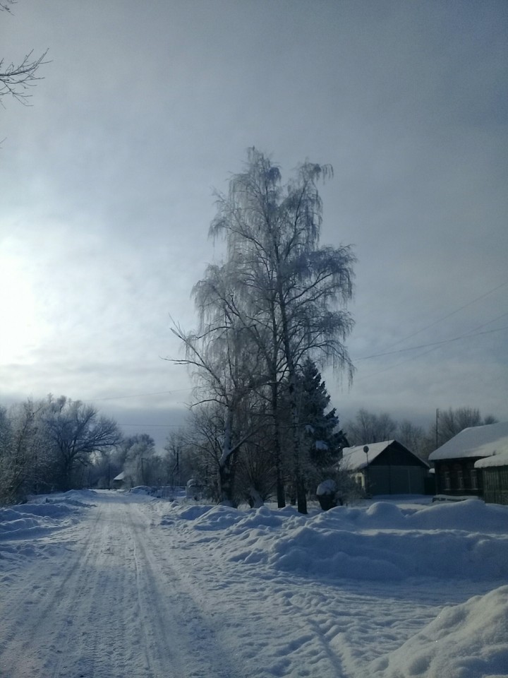 Зимний пейзаж