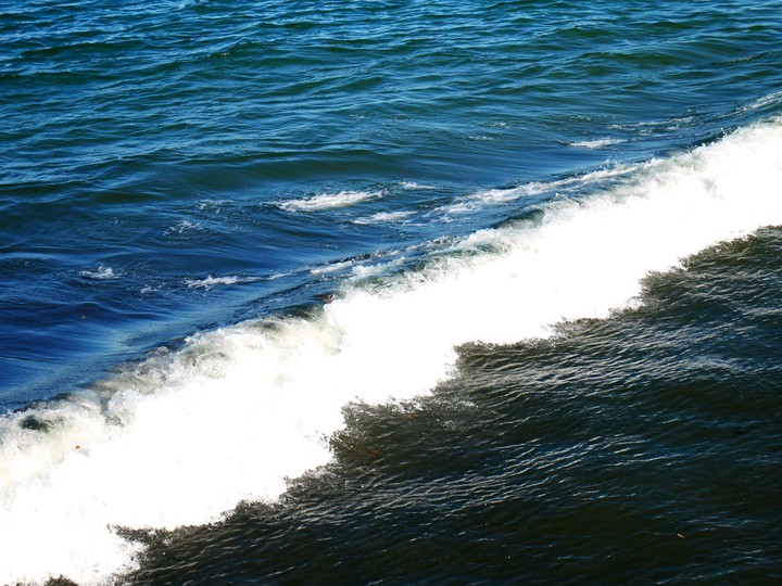 wave