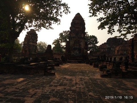 Nature in a temple