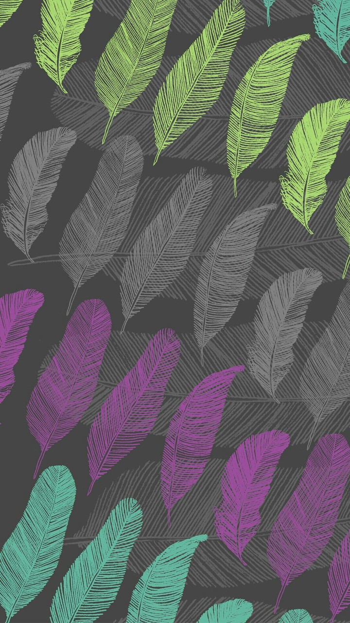 Fondo 4