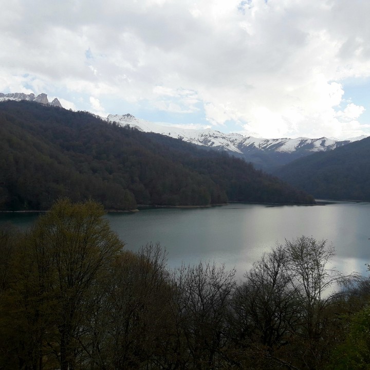 Goygol