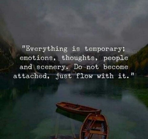 quotes...